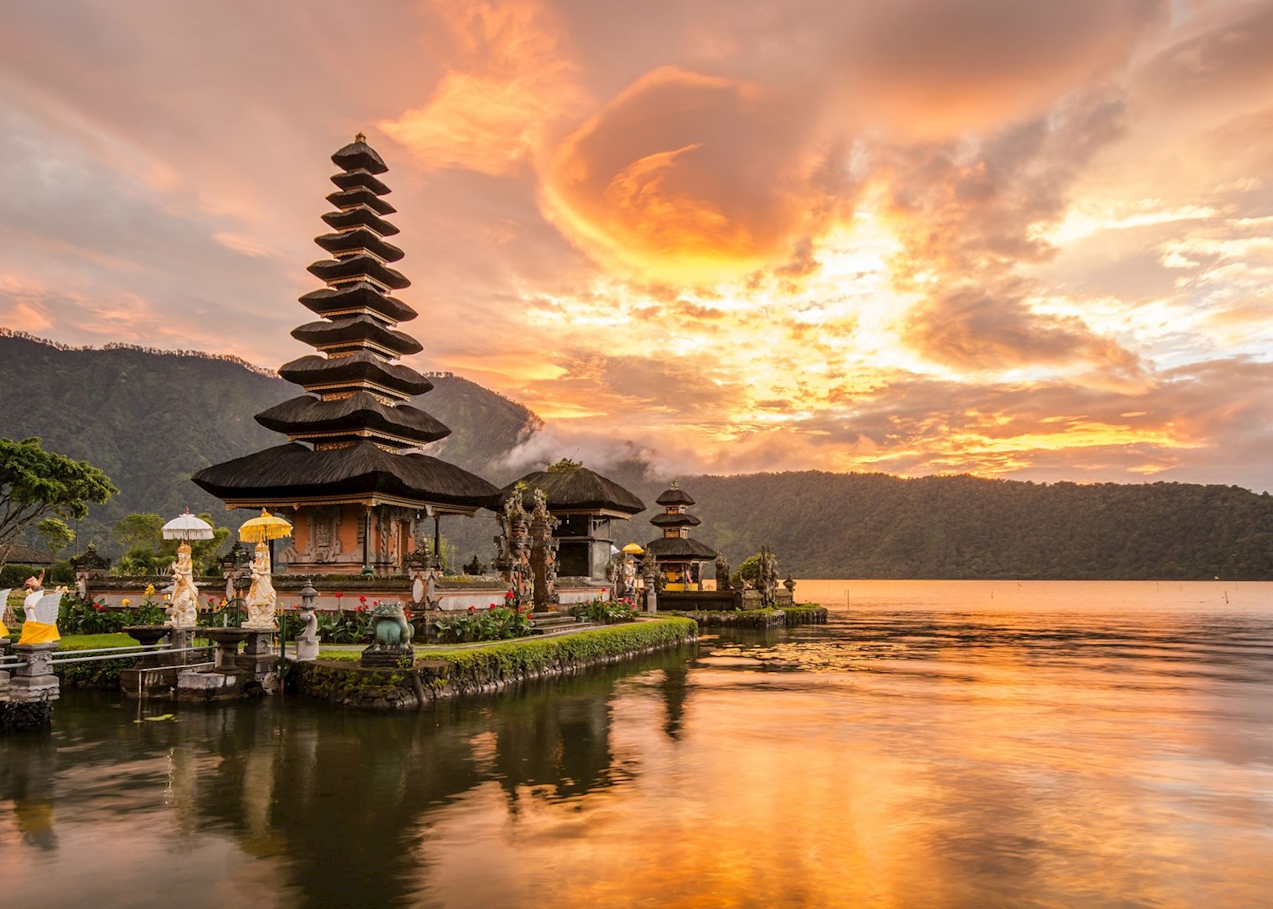 Bali Wellness